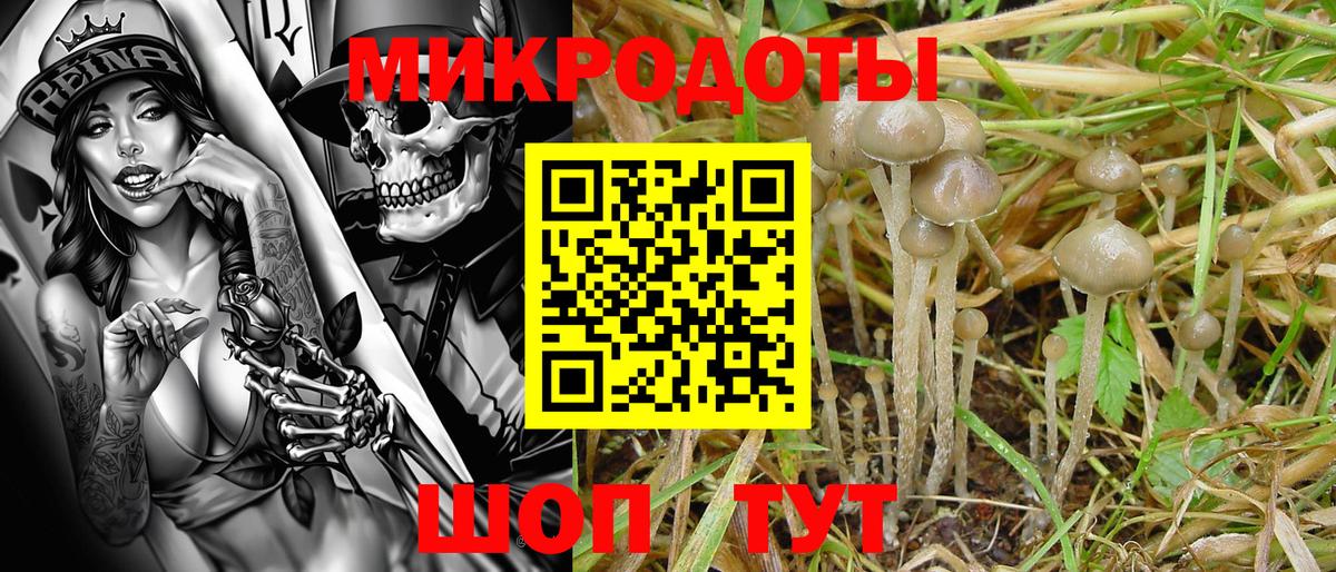 Галлюциногенные грибы MAGIC MUSHROOMS  Галлюциногенные грибы Cubensis  где найти наркотики  Вход с VPN  Шарыпово 
